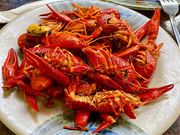 Sakura Buffet Japanese and hibachi options